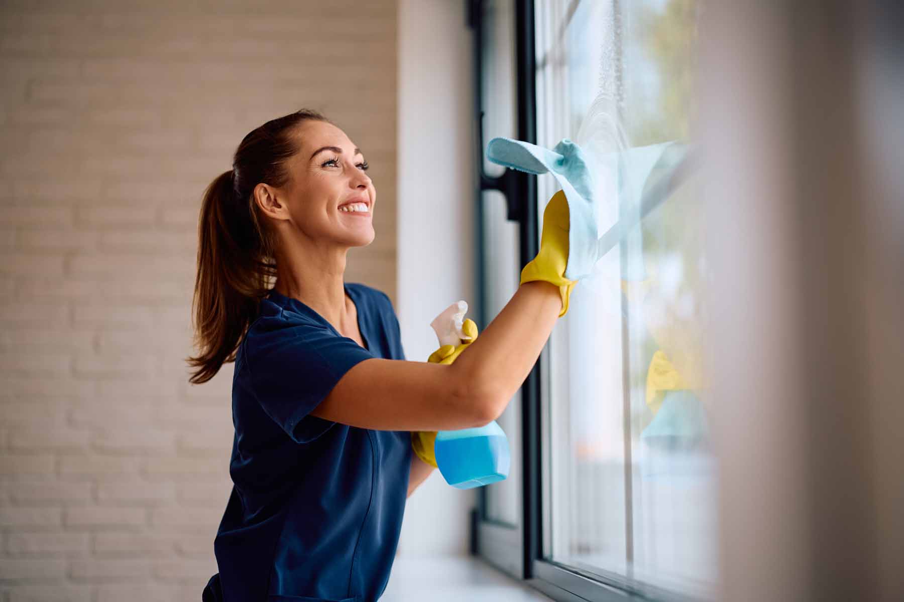 Fensterreinigung